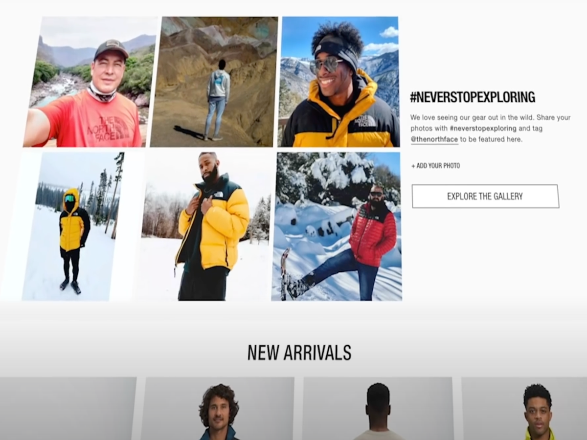 The north sale face website